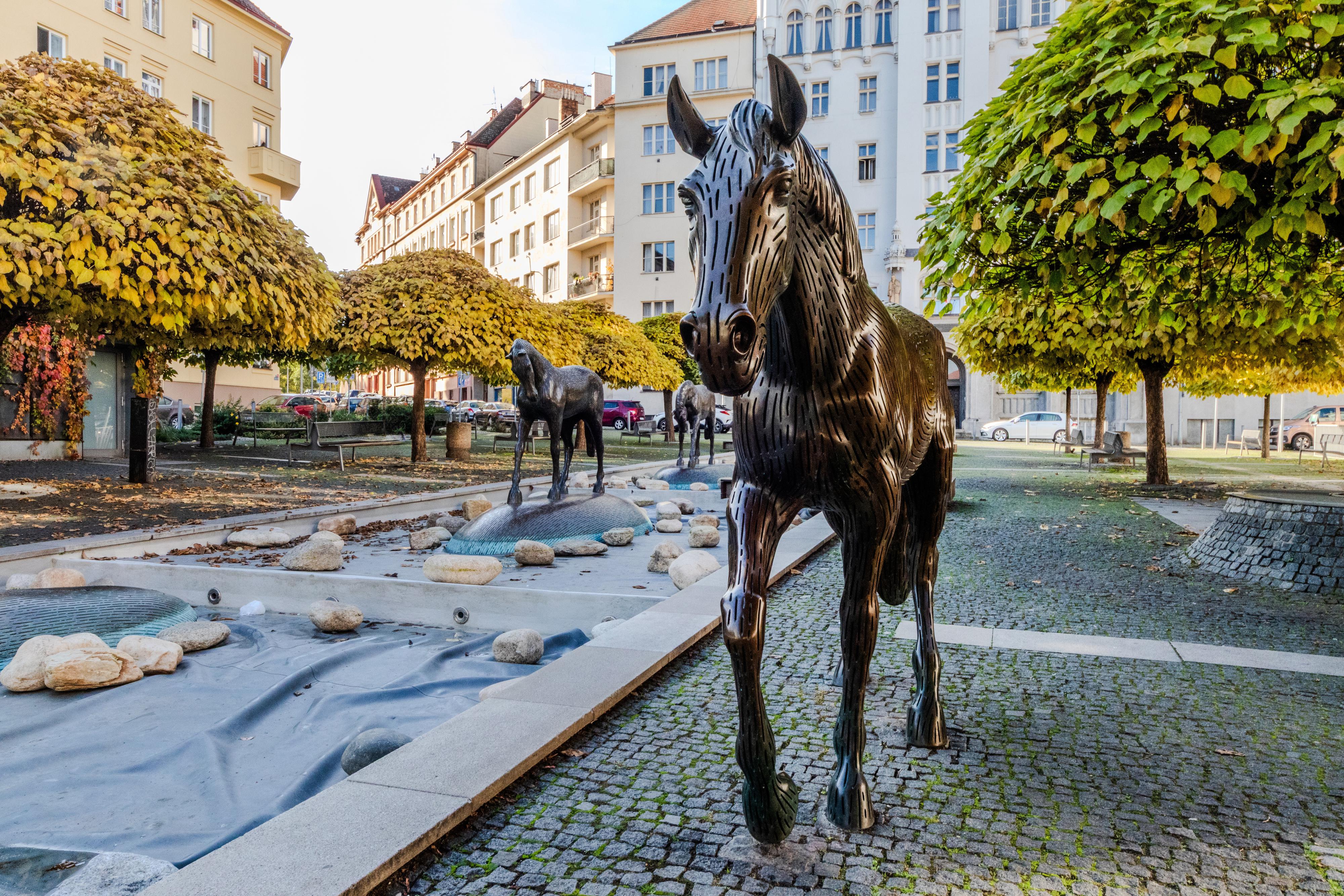 Foto makléře