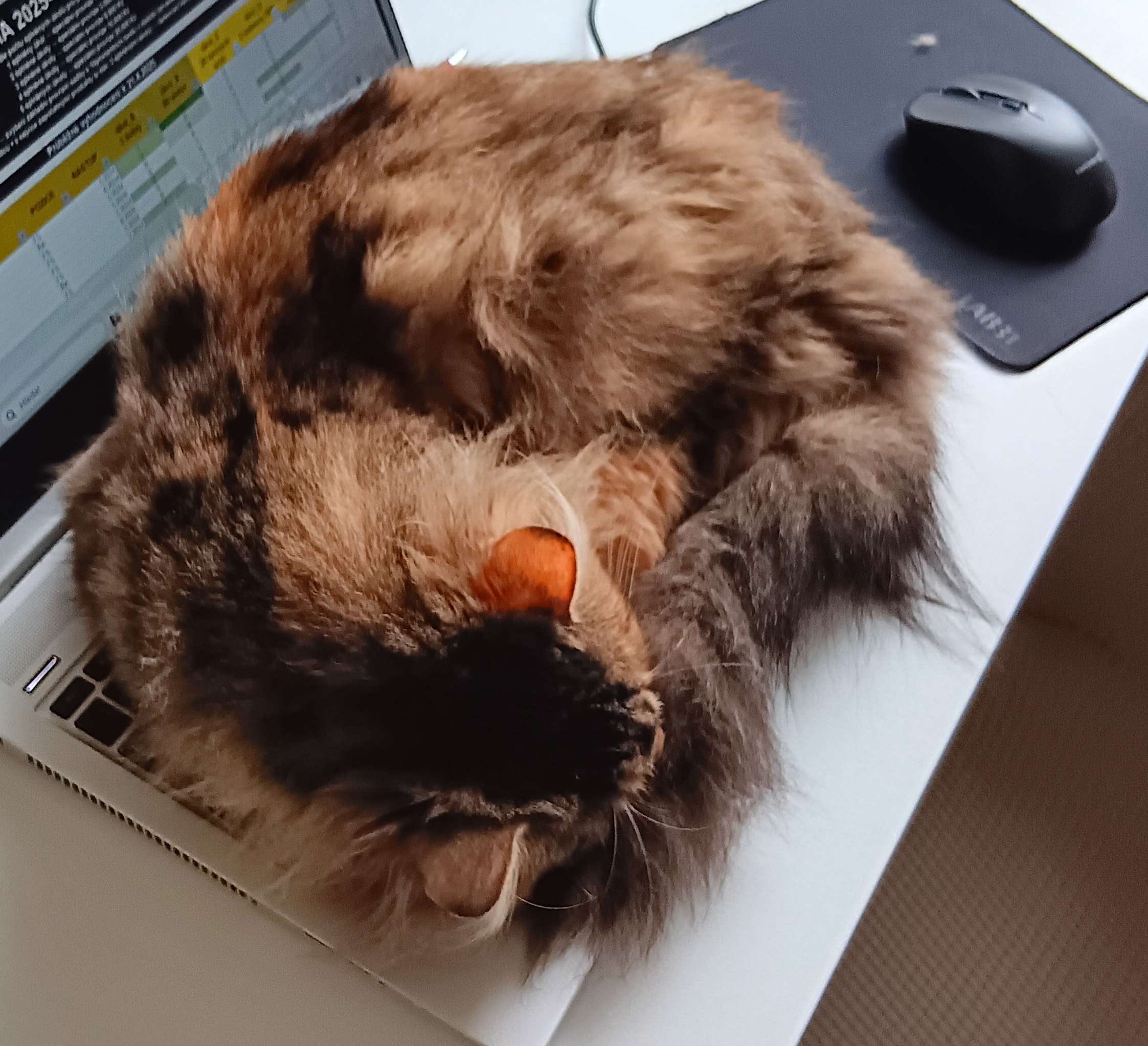 Foto makléře